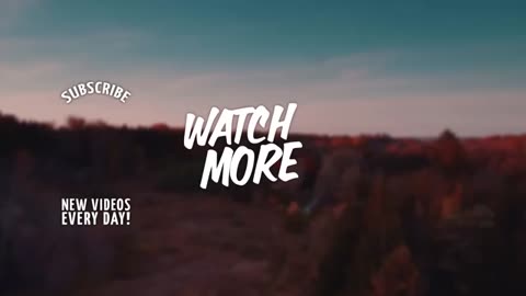 Nessa Barrett - Mustang Baby (ft. Artemas) | Lyrics
