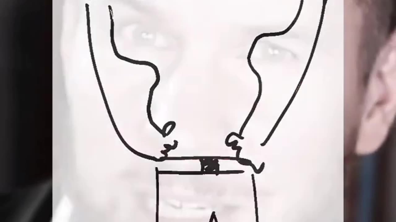 3 TYPY MUŽŮ A ŽEN