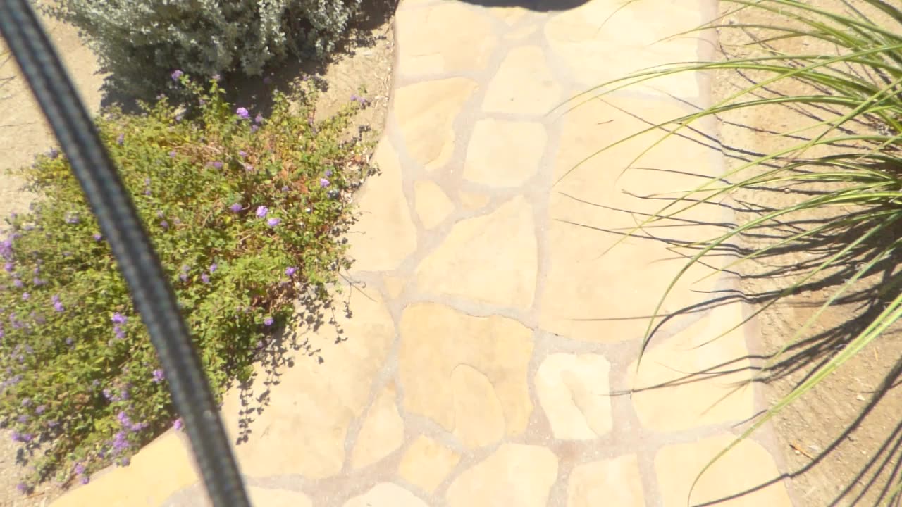 Follow the yellow brick road!