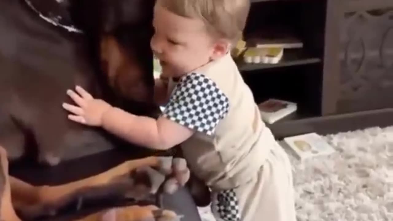 When dogs meet newborn babies