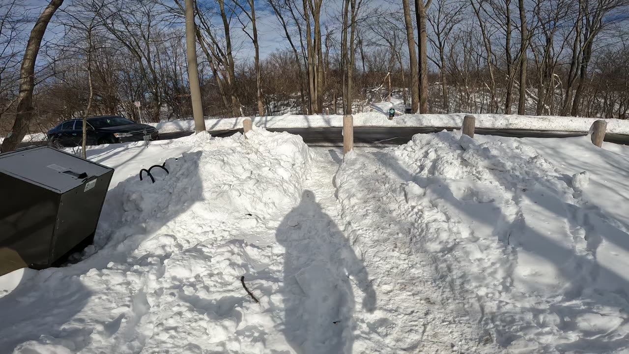 ❄️2025☃️02-19☀️-31🎿 Winter Edition Hiking Mud Lake Trails Part 4 In Ottawa Ontario🍁Canada 🦧