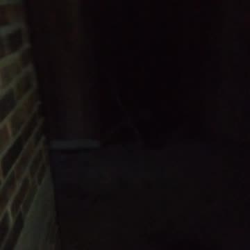 INDIANA DUNES BON FIRE PIT HAUNTED 5/17/2025