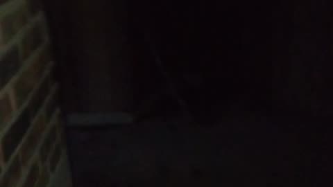 INDIANA DUNES BON FIRE PIT HAUNTED 5/17/2025