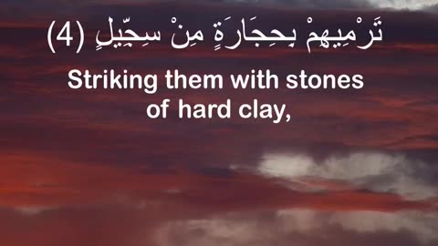 Surah Al-Fil (سورة الفيل) | The Army of the Elephant | Ahmad Quranic Recitation