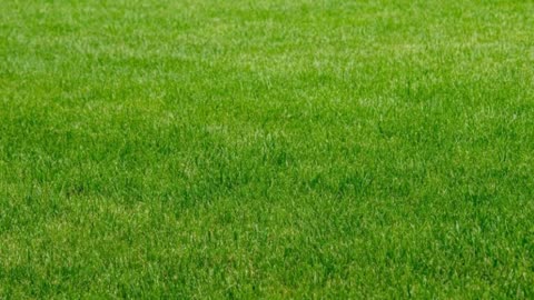 Exceptional Outdoors LLC - Lawn Care Services in Elk River, MN