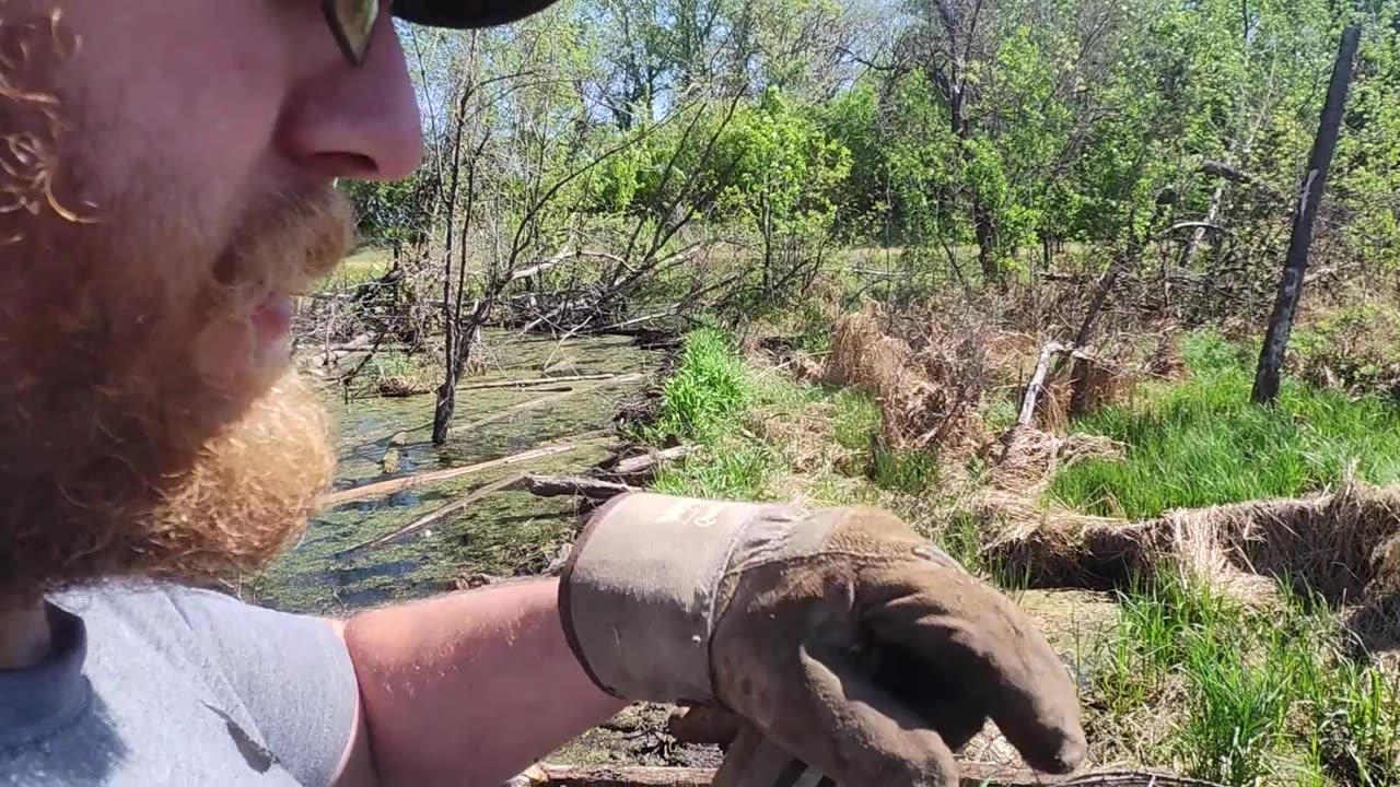 May 25, 2025 - Good catch, HUGE BEAVER!