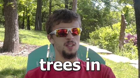 Chopping Trees
