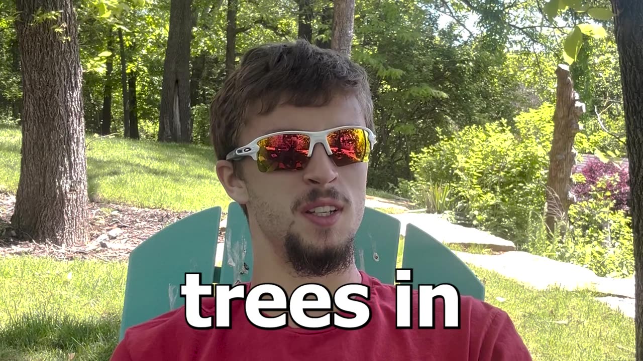 Chopping Trees