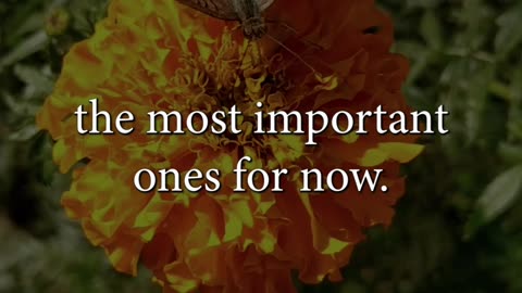 Too Many Options? Here's How to Remember What Matters #motivation #success #inspiration #wealth