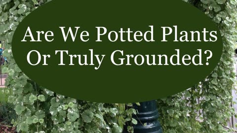 Are We Potted Plants Or Truly Grounded?