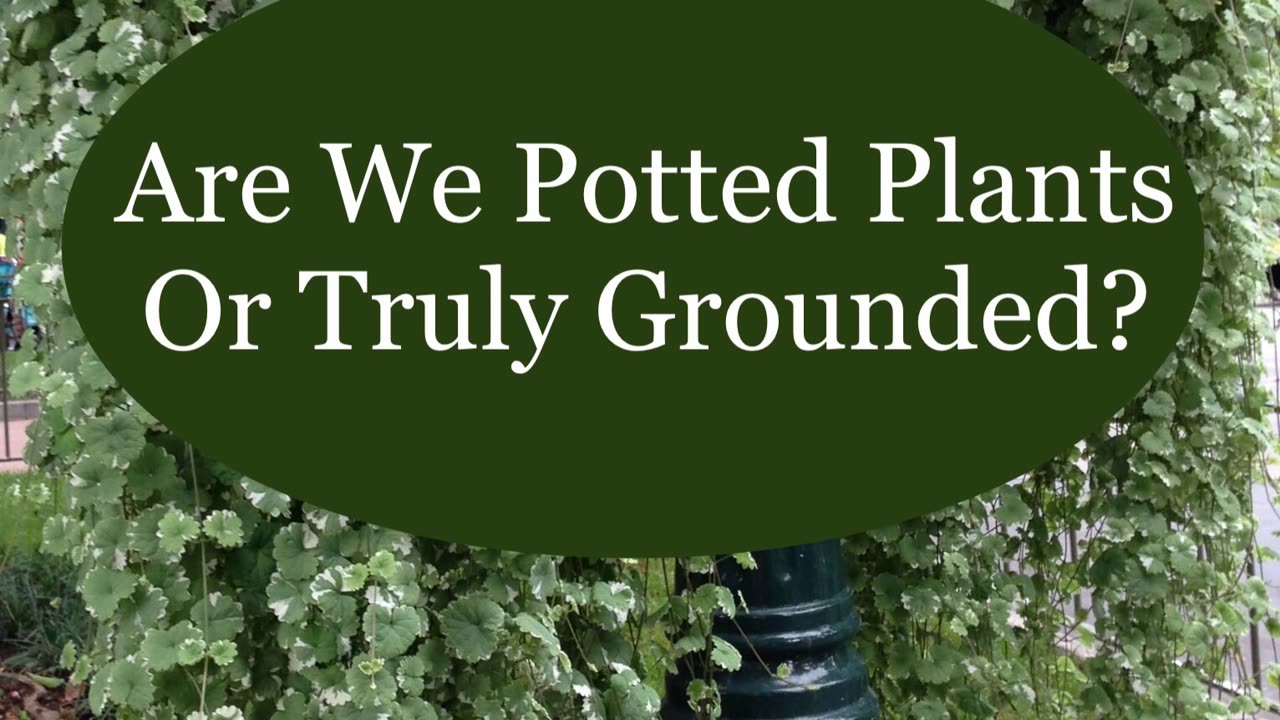 Are We Potted Plants Or Truly Grounded?
