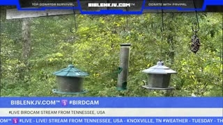 BIBLENKJV.COM™ 🛐 09/16/2025 #LIVE #WEATHER #KNOXVILLE