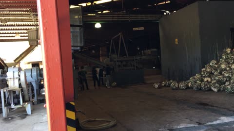La Cofradia Distillery (Tequila, Jalisco, Mexico) 2