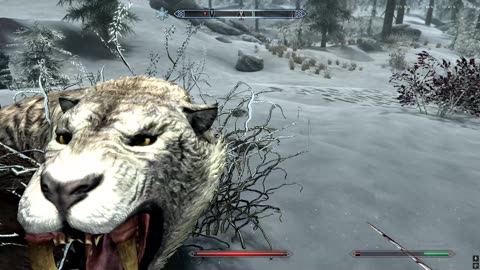 Skyrim part 14