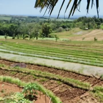 "I wouldn't want to fall from here..." View Of PH Eden Land