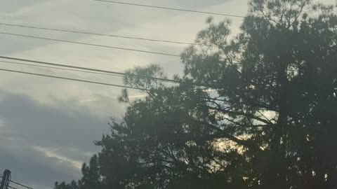 NEVERENDING POISON☠️