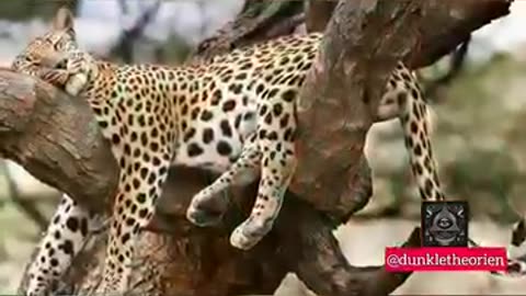 Соль Вся правда