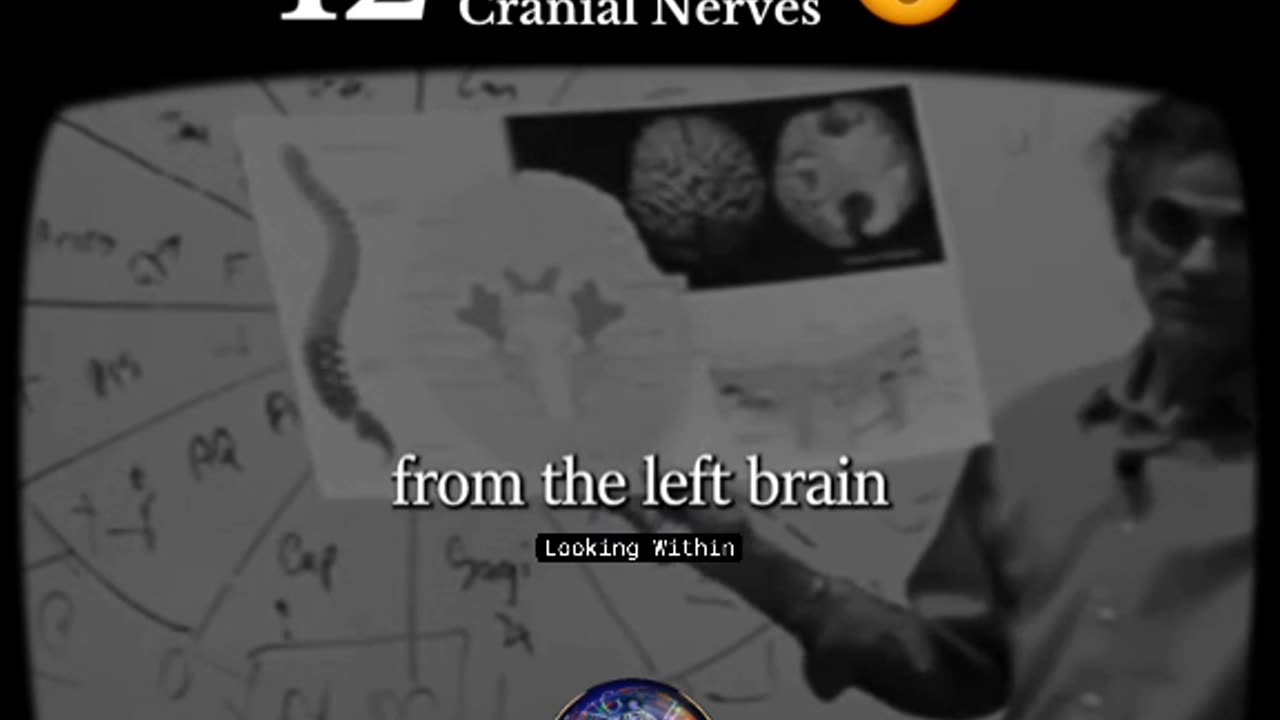 Connecting Jesus ' 12 disciples and cranial nerves