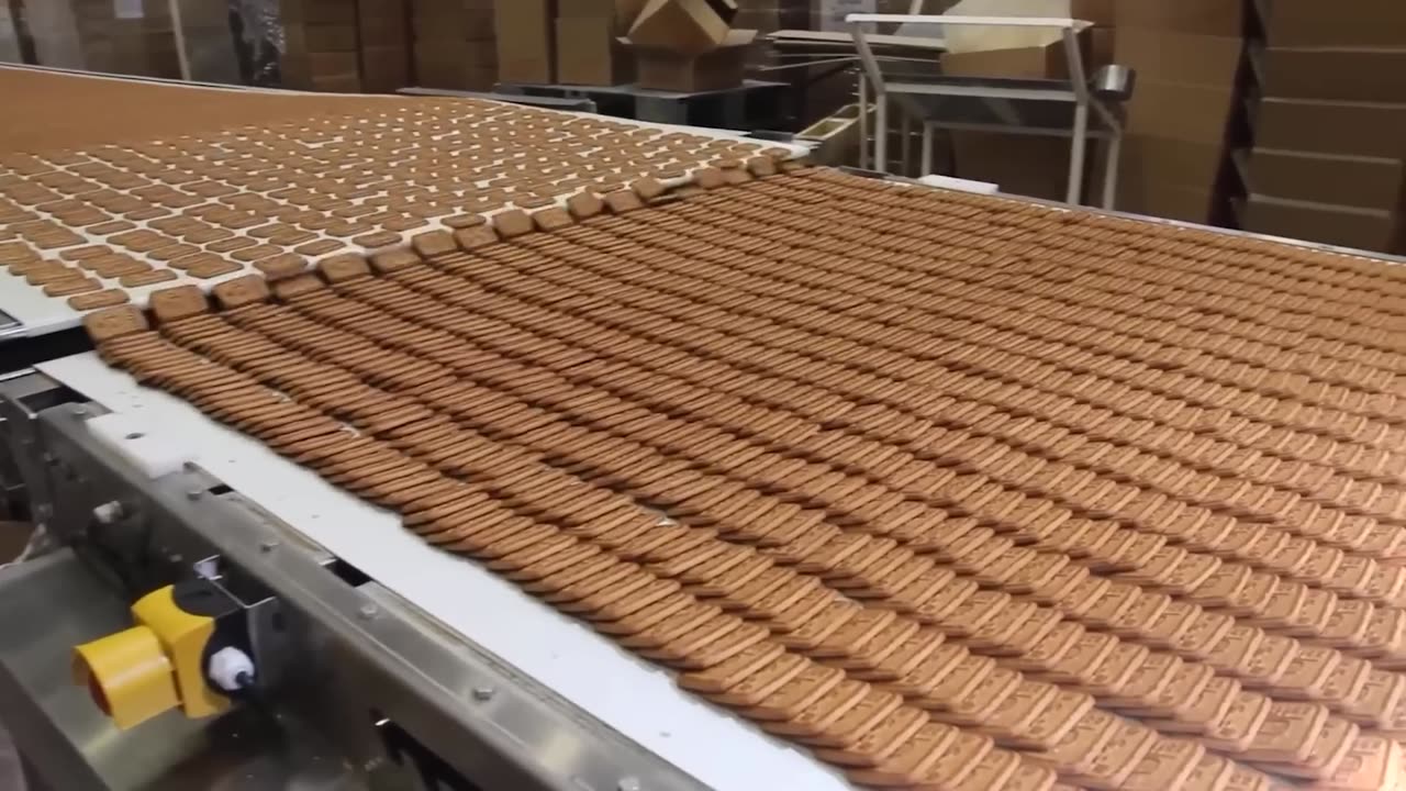 Satisfying Videos of Workers Doing Their Job Perfectly