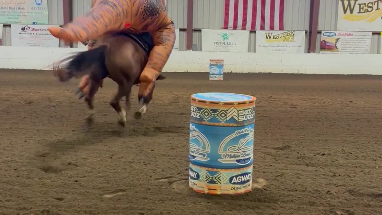 Barrel Racing T-Rex