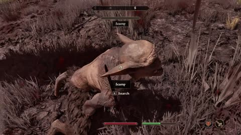 Oblivion remastered Put stuff away from Bravil home then jumps into another Oblivion Gate