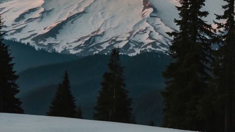 We the people our voices unite