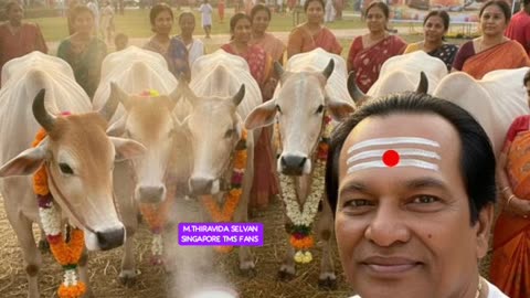 ONE SUN ONE TMS LEGEND M.THIRAVIDA SELVAN SINGAPORE TMS FANS 1026