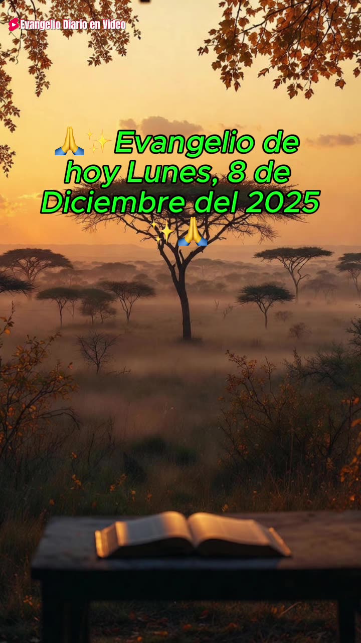 🙏✨Evangelio de hoy Domingo, 7 de Diciembre del 2025✨🙏
