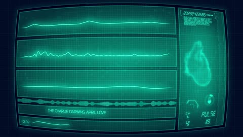 The Charlie Darwins - April Love (Heartbeat Monitor) 1080p