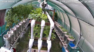 Greenhouse 2 Timeplapse Ending 14-06-2025