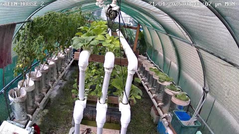 Greenhouse 2 Timeplapse Ending 14-06-2025