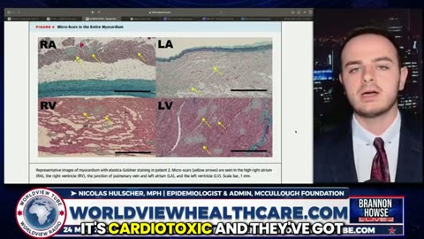 Epidemiologist Nicolas Hulscher: Myocarditis, Inflammation & Sudden Death From mrna Vaccine