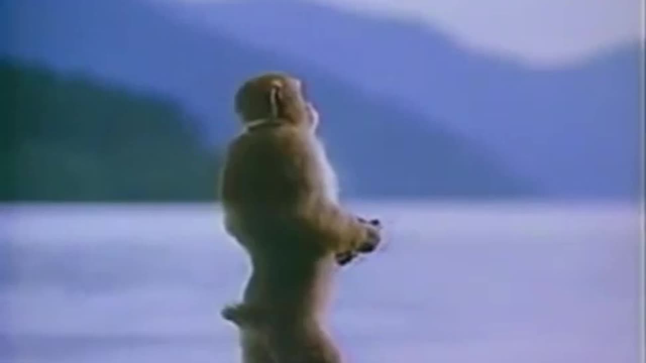 Monkey |🔥 Famous Memes Pack 😂 | The Ultimate Meme Compilation!