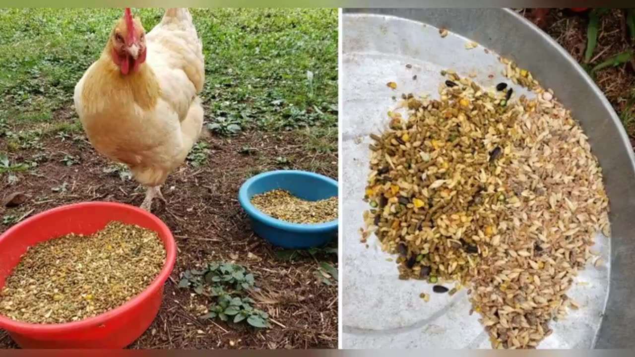 Fall of Cabal - Part 9