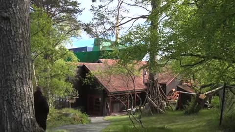 Cargo ship crashes into Norwegian man's front garden