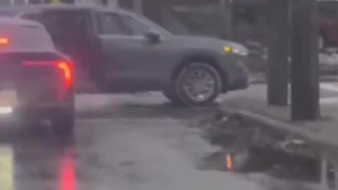 Police K-9 Loves Dark Meat