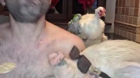 Farm House Party 1
