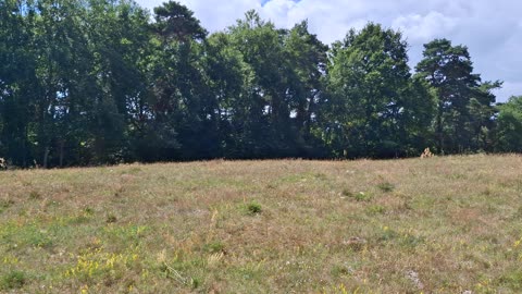 Backåkra naturreservat 31 Juli 2025