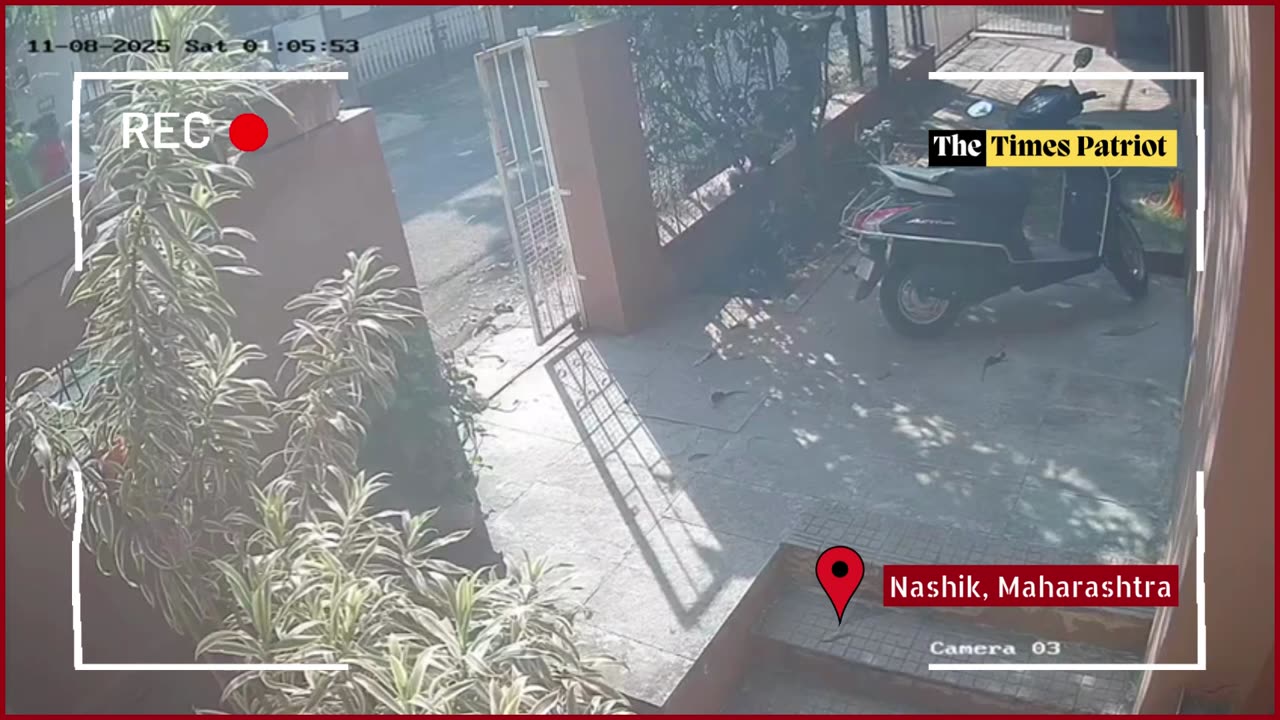 Nashik on Edge: Two Leopards Enter Residential Areas, 9 Injured in Chaotic Chase