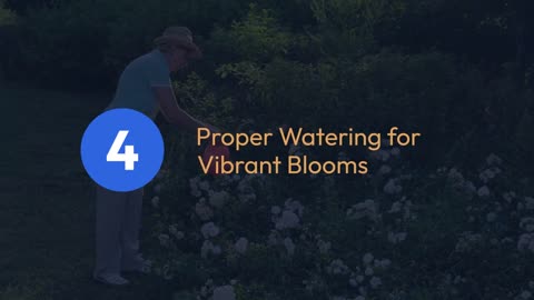 How to Improve Azalea Flower Color