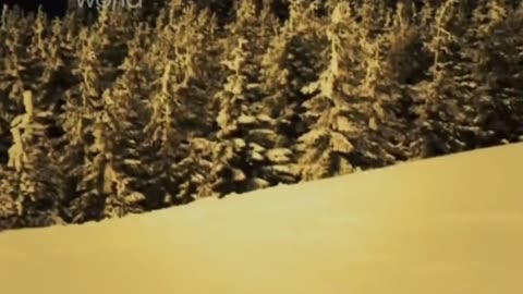 NA TROPIE WIELKIEJ STOPY 3 dokument pl