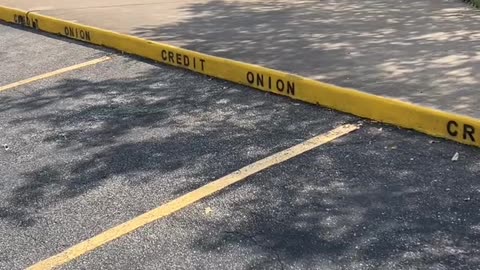 Credit Onion in Austin Texas