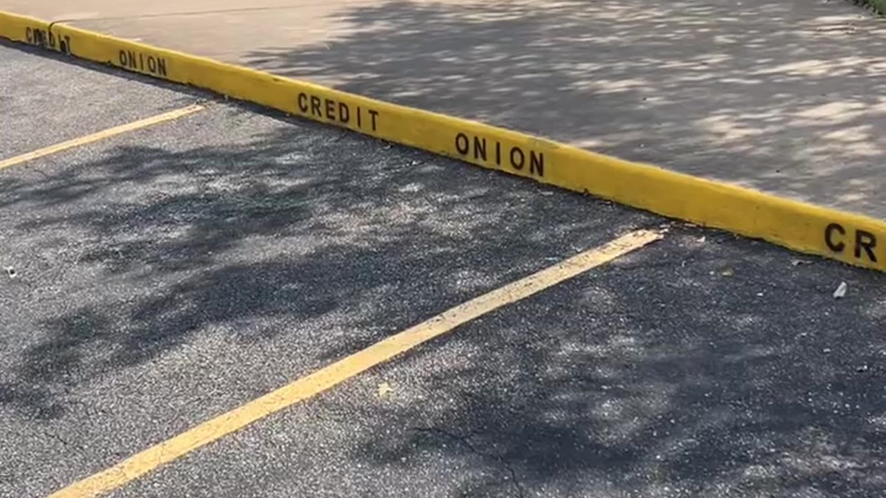 Credit Onion in Austin Texas