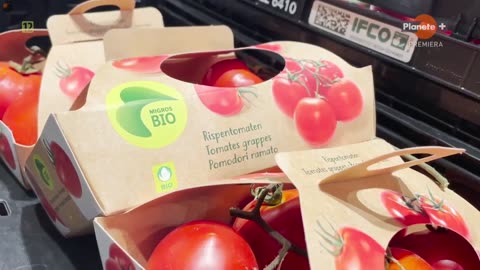 Ciemna strona ekorolnictwa (2024) film dokumentalny LEKTOR PL