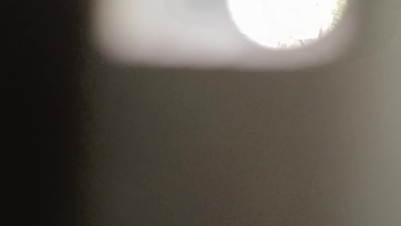 When bees vibrated the bell tower it sounded like this