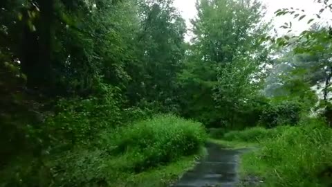 Nature Rain Sounds for Deep Relaxation and Focus