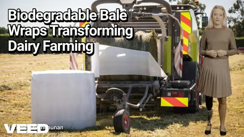 Wrapping Sustainability: Biodegradable Bale Wraps Transforming Dairy Farming