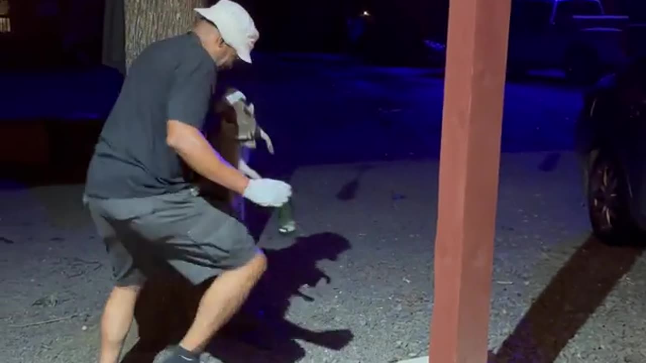 Drunk Raccoon