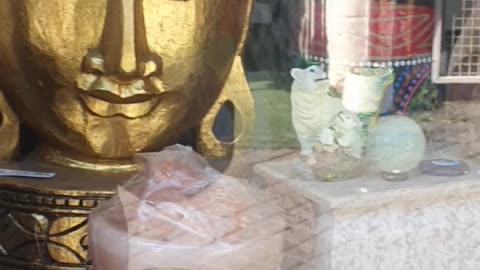 Bourgha Budhara Spider NET-work