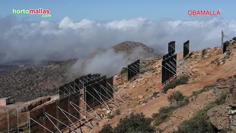 ¿Cómo recolectar agua de la neblina?